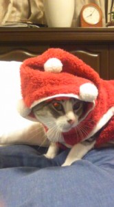 サンタclose 写真