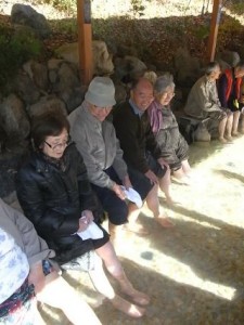 「葉菜」より団子 写真