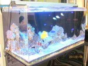 *** そういえば *** 写真