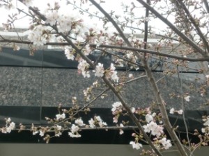 四季を感じる事が・・・ 写真