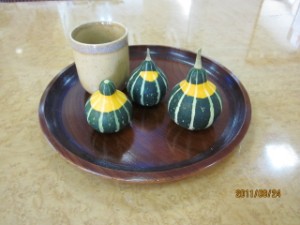 食べられません! 写真