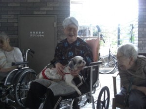 アニマルセラピー 写真