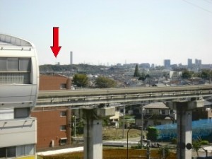 秋麗（あきうらら） 写真