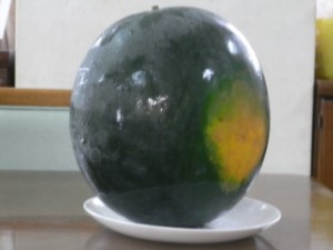 私、大西　瓜と申します! 写真