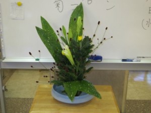 秋ですねー! 写真