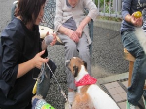 ワンワンパラダイス! 写真