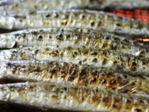 さんまの日 写真