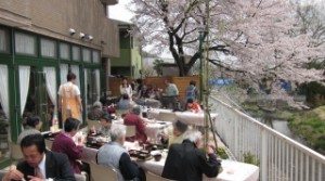 やっとお花見できました。 写真