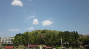 自然の宝庫 写真