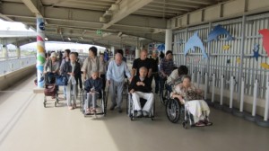 江の島水族館♪ 写真