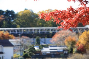 『晩秋、、、』 写真