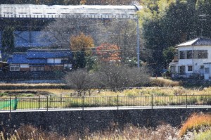 　木枯らしに抱かれて・・・ 写真