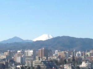 シルバービレッジ八王子　ラウンジから 写真