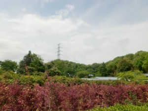 「４月２５日　外出レク」 写真