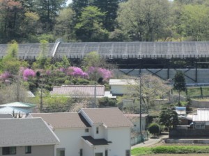 『新　滝山街道！』 写真