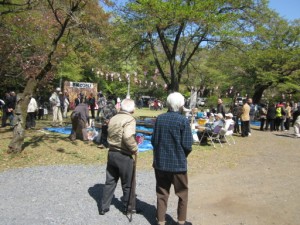 『滝山城址桜祭り❀』 写真