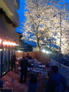 『夜桜会☆』 写真