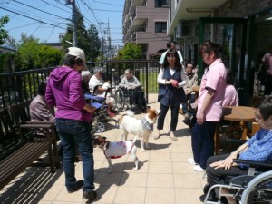 ＝＝今年初めてのアニマルセラピー！！開催＝＝ 写真