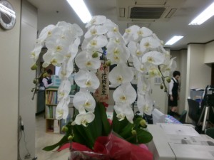 「５月２１日　日野１０周年記念パーティー　午前の部」 写真