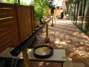 テラスで流しソーメン 写真