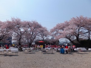 晴天の中盛大なお花見です。 写真
