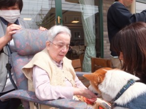 ４月１３日にアニマルセラピーがありました。 写真