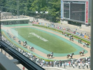 東京競馬場にて 写真