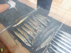 ー　10月のスペシャルランチは“さんま”です！－ 写真