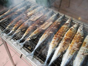 秋のスペシャルランチ！ 写真