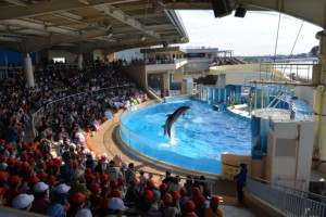 　　［日帰り旅行・江の島＆新江の島水族館］ 写真