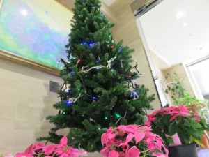 ー　クリスマスも、もうすぐですね　－ 写真