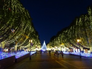 イリミネーションを見に行って来ました。 写真