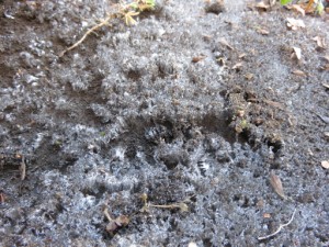 ー　さむ～い！　－ 写真