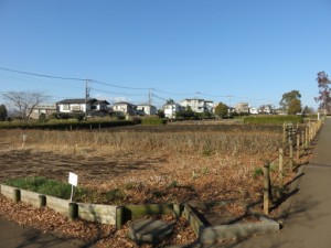 近隣スポット 写真