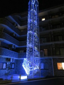 －　平成２７年１月２０日　－ 写真