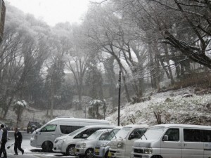 今日の八王子は雪！ 写真