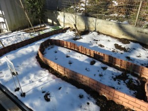 私の記憶が正しければ、今朝はこの冬で最も寒いマイナス４℃でした。 写真