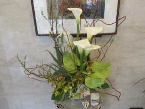 花いっぱい！ 写真