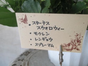 玄関ホールの顔 写真