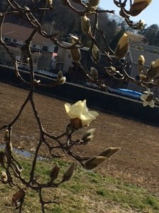 今日は暖かでしたね。 写真