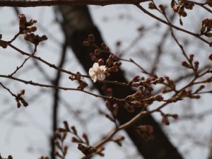 やっと・・・ 写真