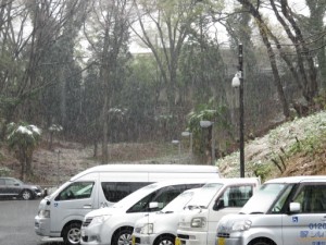 雪です・・・ 写真