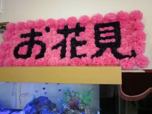 もうすぐお花見です。 写真