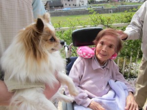 アニマルセラピー 写真