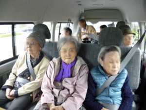 お花見ドライブ 写真