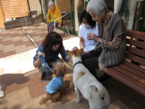 ５月１０日アニマルセラピー 写真