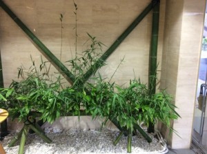 ー　涼しげに　－ 写真