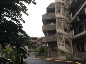 今日から７月です。 写真