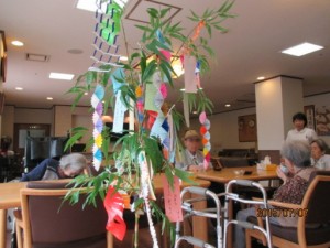 七夕です。 写真