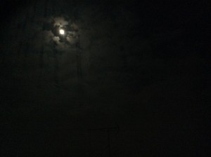 ～お月見～ 写真